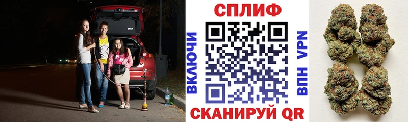 Магазины продажи наркотиков Пучеж Псилоцибиновые грибы ГАШ blacksprut зеркало А ПВП