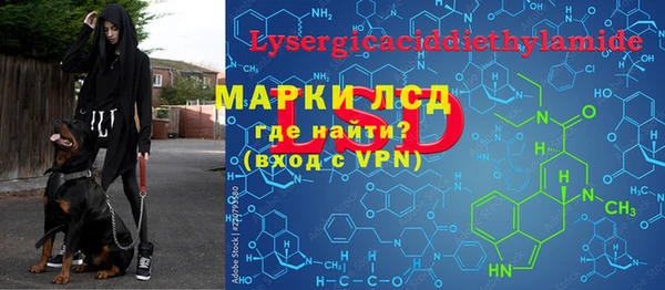 ПСИЛОЦИБИНОВЫЕ ГРИБЫ Аркадак