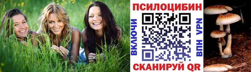 Галлюциногенные грибы ЛСД Пучеж